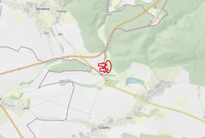 Prodej lesa, Lužany, 2098 m2