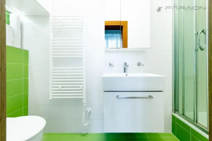 Pronájem bytu 1+1, Praha - Vyšehrad, Vratislavova, 29 m2