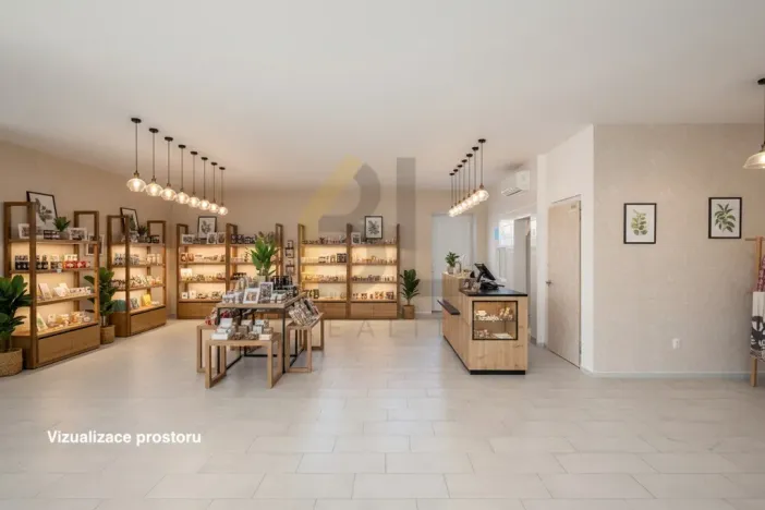 Pronájem obchodního prostoru, Hodonín, Slavíkova, 122 m2