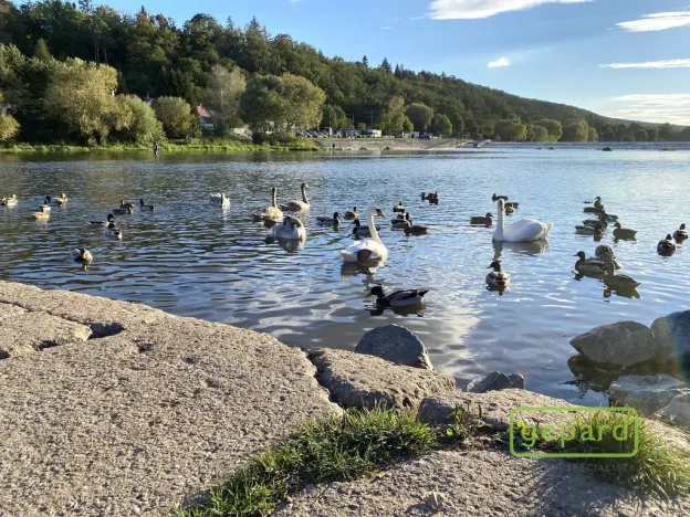 Pronájem bytu 1+kk, Dobřichovice, Anežky České, 30 m2