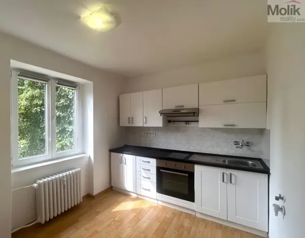 Pronájem bytu 1+1, Most, Lesní, 30 m2