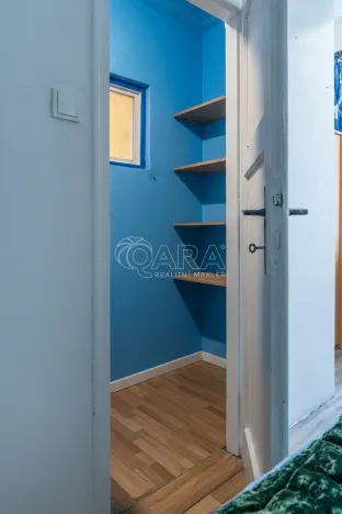 Prodej bytu 2+kk, Praha - Žižkov, Biskupcova, 46 m2