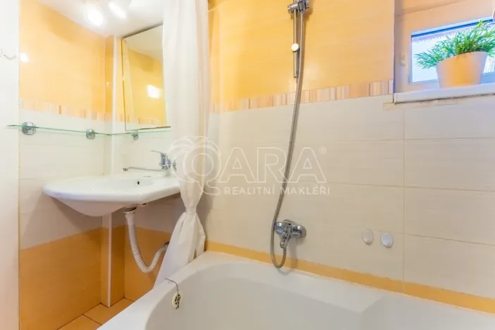 Prodej bytu 2+kk, Praha - Žižkov, Biskupcova, 46 m2