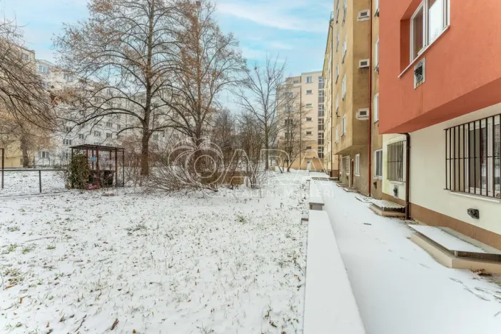 Prodej bytu 2+kk, Praha - Žižkov, Biskupcova, 46 m2