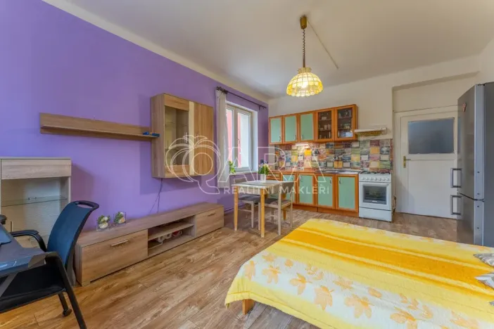 Prodej bytu 2+kk, Praha - Žižkov, Biskupcova, 47 m2