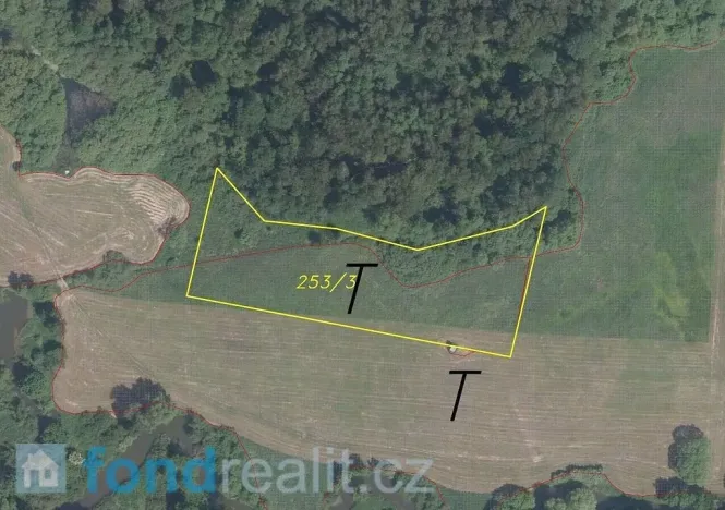 Prodej pole, Česká Lípa, 5581 m2