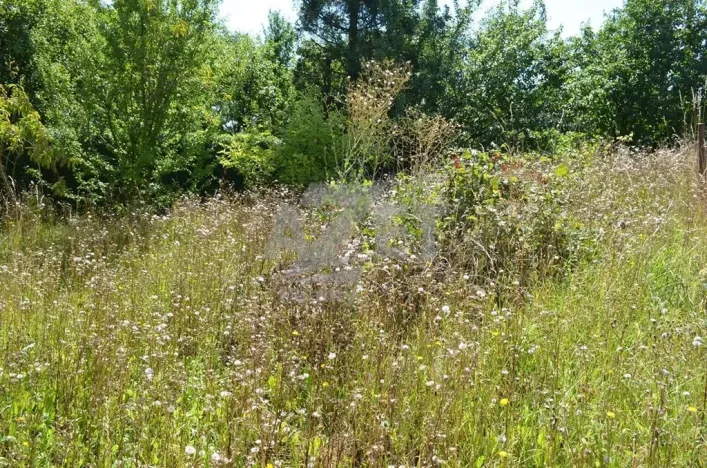 Prodej rodinného domu, Libina - Obědné, 160 m2