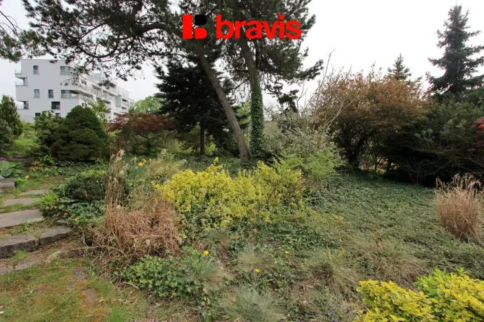 Pronájem bytu 1+1, Brno, Lipová, 22 m2