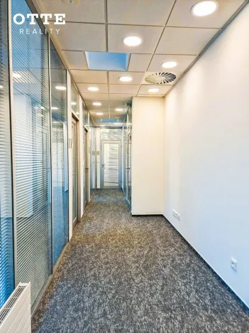 Pronájem kanceláře, Plzeň, Rybářská, 152 m2