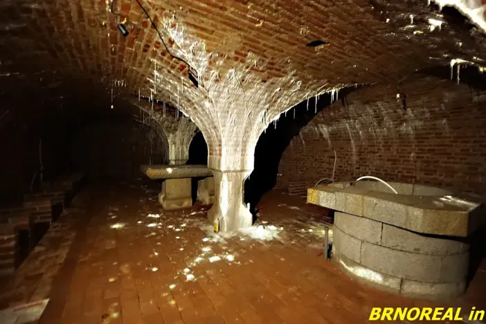 Prodej vícegeneračního domu, Staré Město pod Landštejnem, 1150 m2