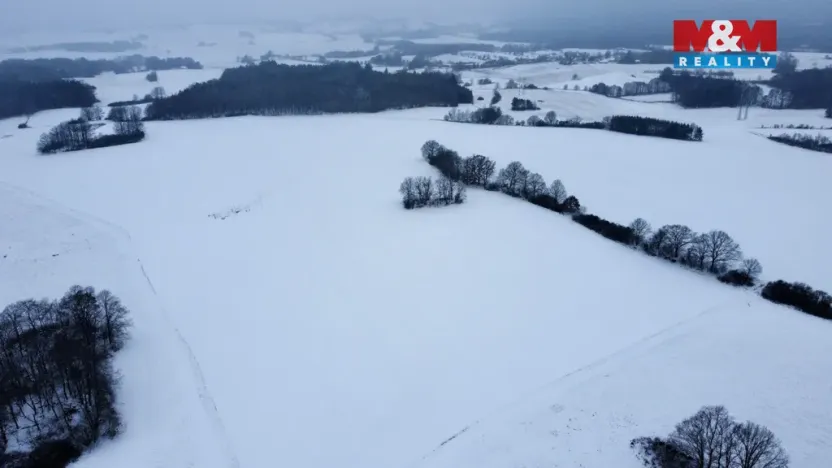 Prodej louky, Březí, 4441 m2