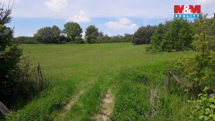 Prodej pole, Votice - Martinice, 4743 m2