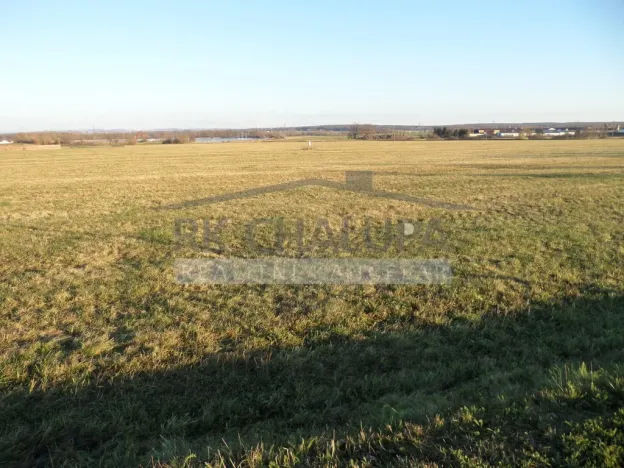 Prodej komerčního pozemku, Dubné - Křenovice, 14406 m2