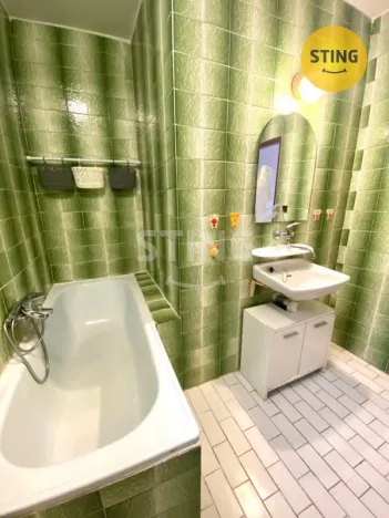 Pronájem rodinného domu, Branka u Opavy, Selská, 200 m2