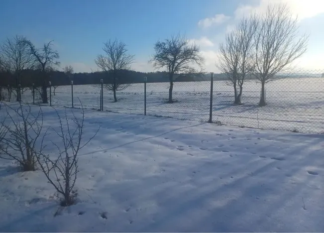 Prodej zemědělské usedlosti, Horní Radslavice, 752 m2