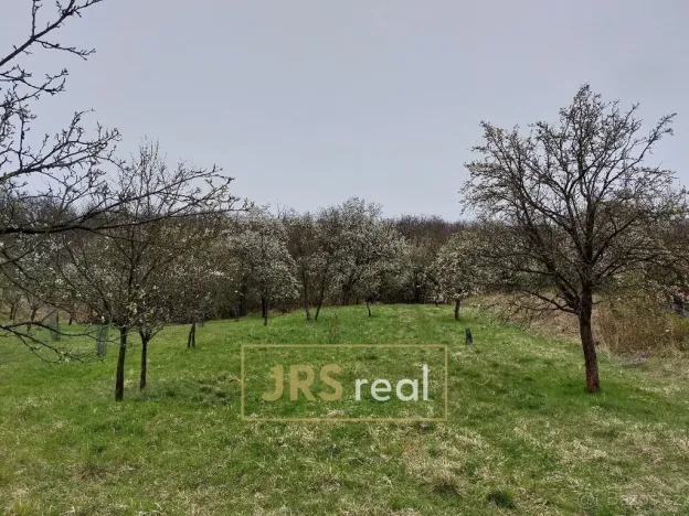 Prodej pozemku, Blučina, 4446 m2