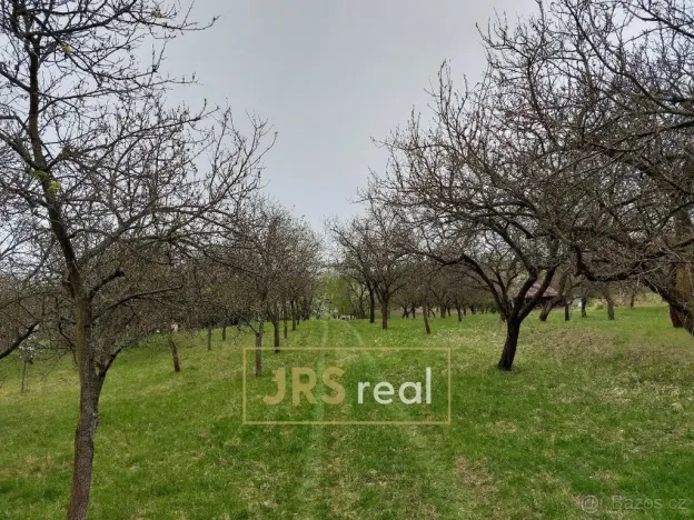 Prodej pozemku, Blučina, 4446 m2