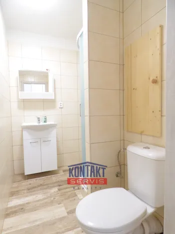 Pronájem bytu 1+1, České Budějovice - České Budějovice 2, 44 m2