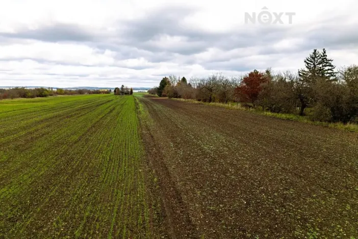 Prodej pozemku pro bydlení, Brno, 2814 m2