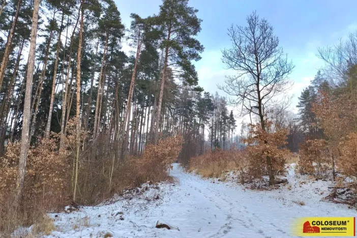 Pronájem bytu 1+1, Blansko, 50 m2