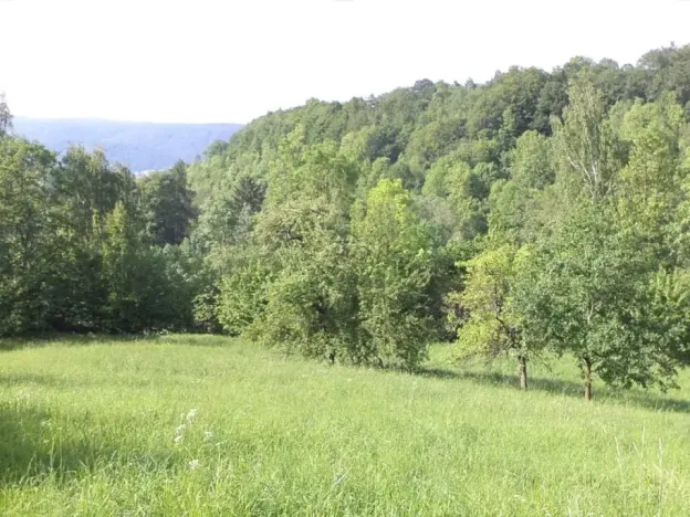 Dražba louky, Děčín, 15764 m2