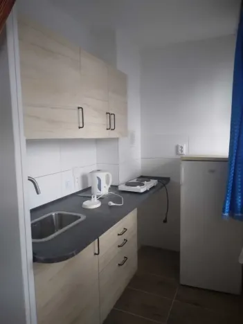 Pronájem bytu 1+kk, Pardubice - Polabiny, Grusova, 29 m2