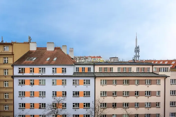 Prodej bytu 1+1, Praha - Žižkov, Baranova, 49 m2