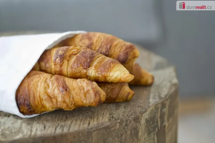 Pronájem bytu 2+kk, Praha - Košíře, Plzeňská, 53 m2