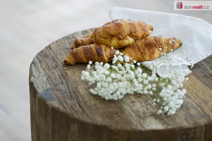 Pronájem bytu 2+kk, Praha - Košíře, Plzeňská, 53 m2