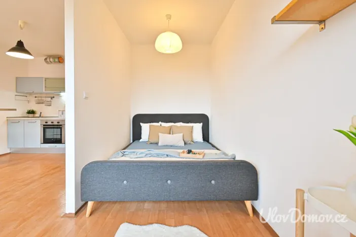 Prodej bytu 1+kk, Praha - Troja, Hnězdenská, 36 m2