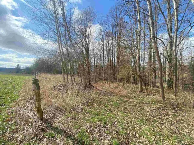 Prodej pozemku, Teplice nad Metují, 5185 m2