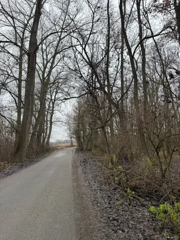 Prodej podílu lesa, Mutěnice, 1819 m2