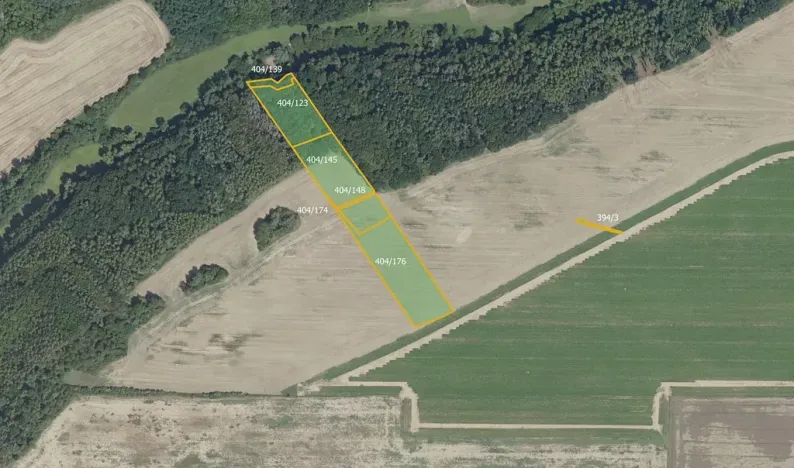 Prodej lesa, Vyšehořovice, 19741 m2