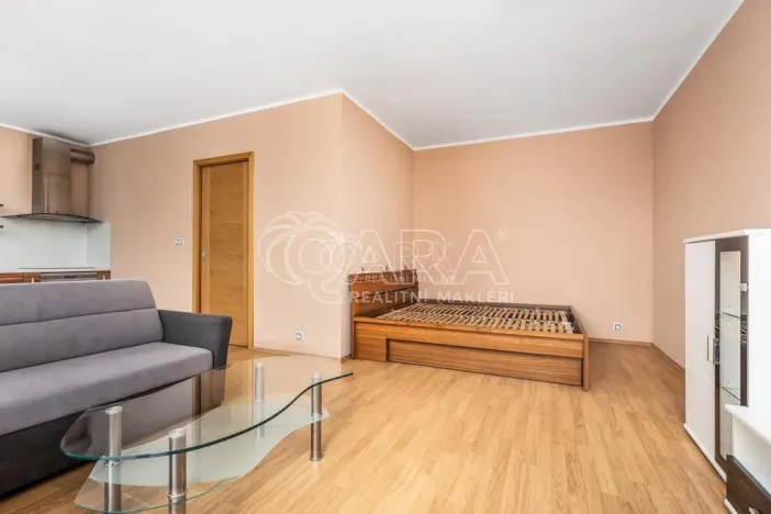 Pronájem bytu 1+kk, Praha, 65 m2