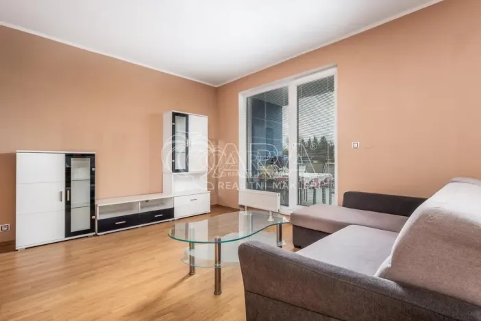 Pronájem bytu 1+kk, Praha, 65 m2