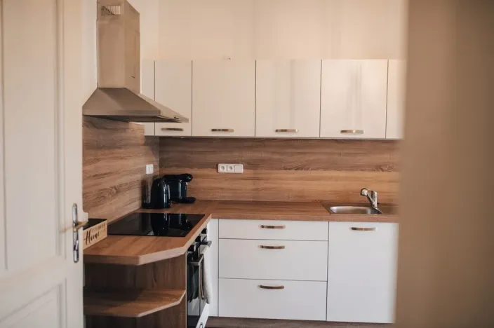 Pronájem bytu 1+1, Olomouc - Pavlovičky, Gorkého, 47 m2