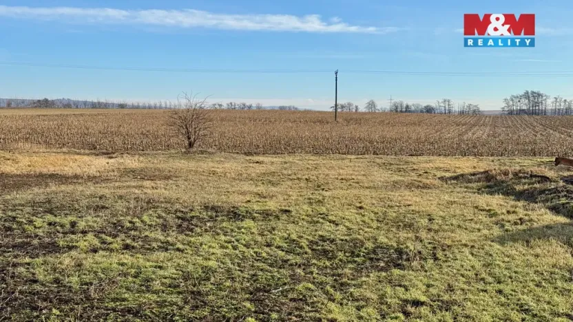 Prodej rodinného domu, Hrušky, 171 m2