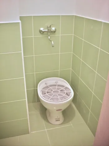 Pronájem obchodního prostoru, Prostějov, Koželuhova, 315 m2