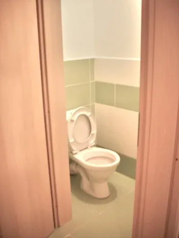 Pronájem obchodního prostoru, Prostějov, Koželuhova, 315 m2