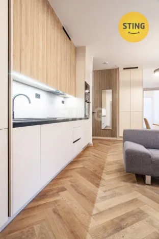 Pronájem bytu 2+kk, Ostrava, Nádražní, 47 m2