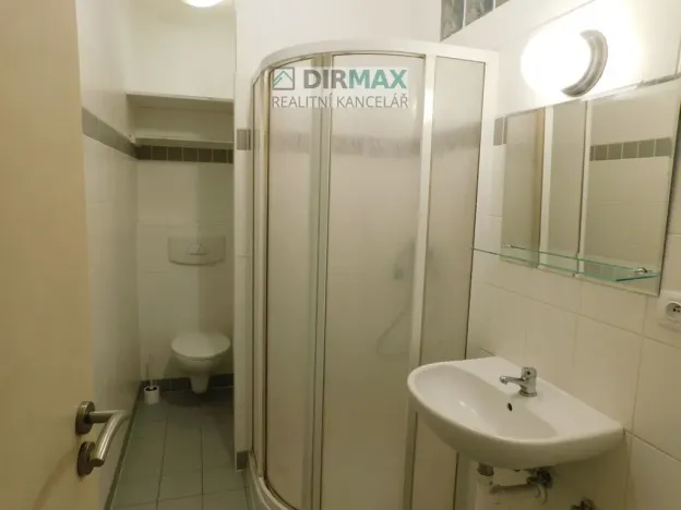 Pronájem bytu 1+1, Plzeň, Malesická, 43 m2