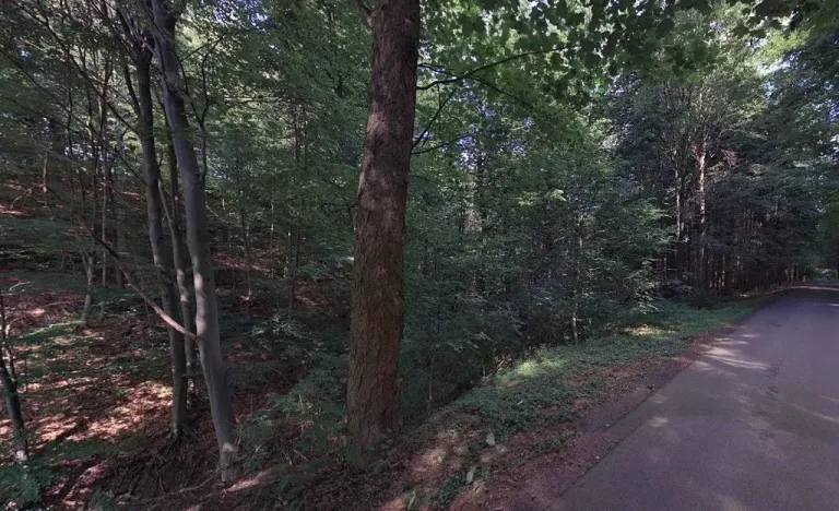 Prodej lesa, Hartinkov, 8121 m2