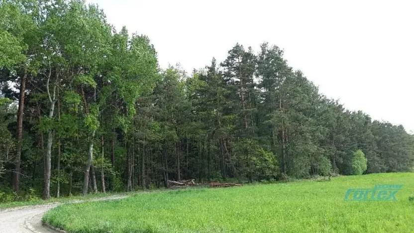 Prodej lesa, Zábřeh, 78836 m2