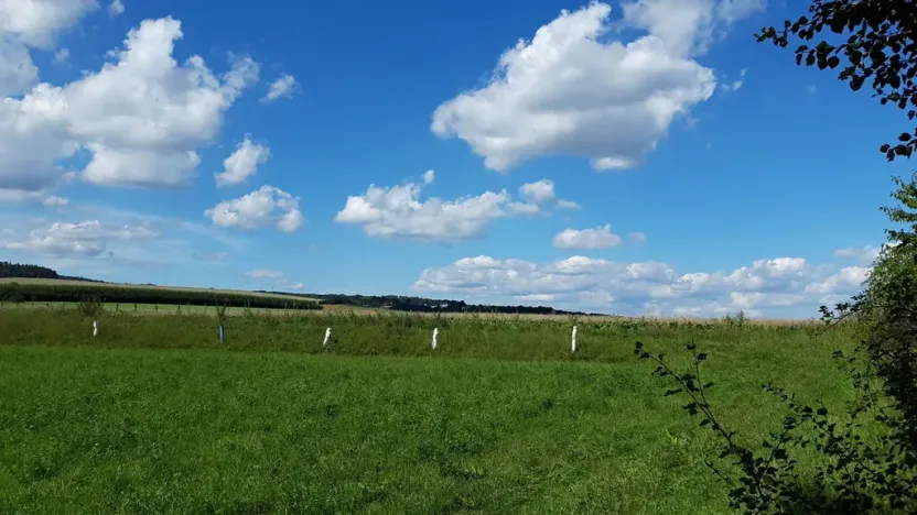 Prodej pozemku pro bydlení, Líšnice, 5077 m2