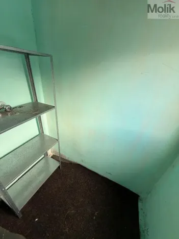 Prodej bytu 4+1, Chomutov, Školní, 115 m2