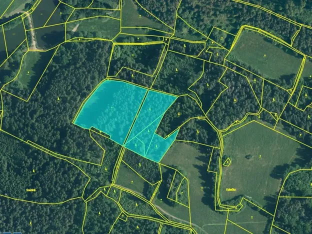 Prodej lesa, Pačejov, 15990 m2