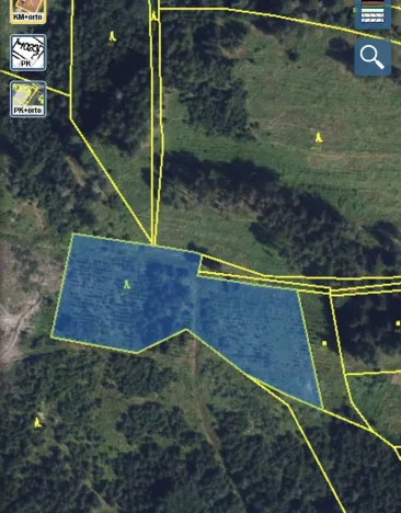 Prodej lesa, Městečko Trnávka - Lázy, 6313 m2