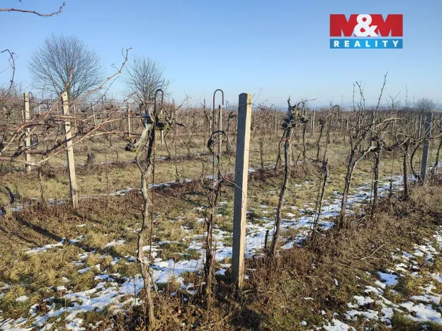 Prodej pole, Morkůvky, 3677 m2