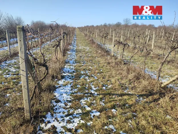 Prodej pole, Morkůvky, 3677 m2