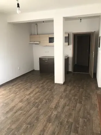 Pronájem bytu 1+kk, České Budějovice, Zavadilka, 31 m2